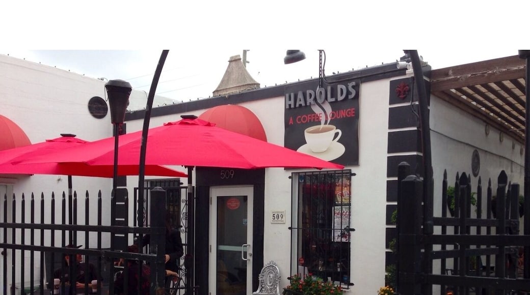 Harold's A Coffee Lounge is a great spot to observe the local arts crowd and some unusual/interesting and somewhat amusing characters. Very comfortable setting with very good coffee/espresso drinks and pastries. Near the intercostal and not far from the popular Clematis Street area. Harold's is located at 509 Northwood Rd West Palm Beach 33507.