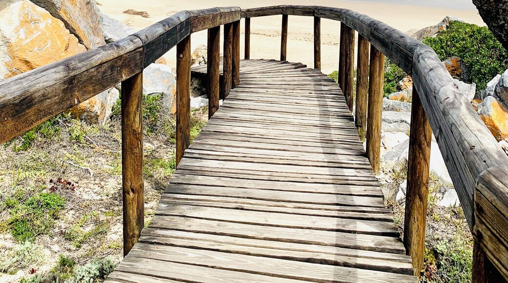 Robberg is a Nature Reserve in Plettenberg, South Africa. Walking here was definitely one of the highlights on our South Africa trip. Dont forget sun screen and a hat! #LifeAtExpedia