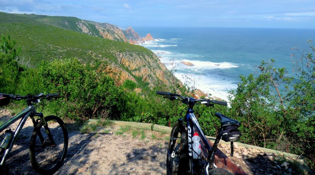 Harker forest 22km mtb trail.