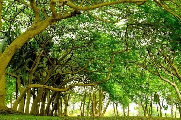 Beautiful park in Abuja, perfect for a picnic, walks and yoga. #nature #abuja #park