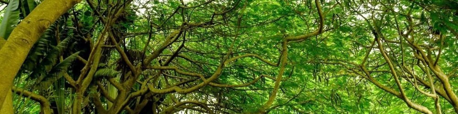 Beautiful park in Abuja, perfect for a picnic, walks and yoga. #nature #abuja #park
