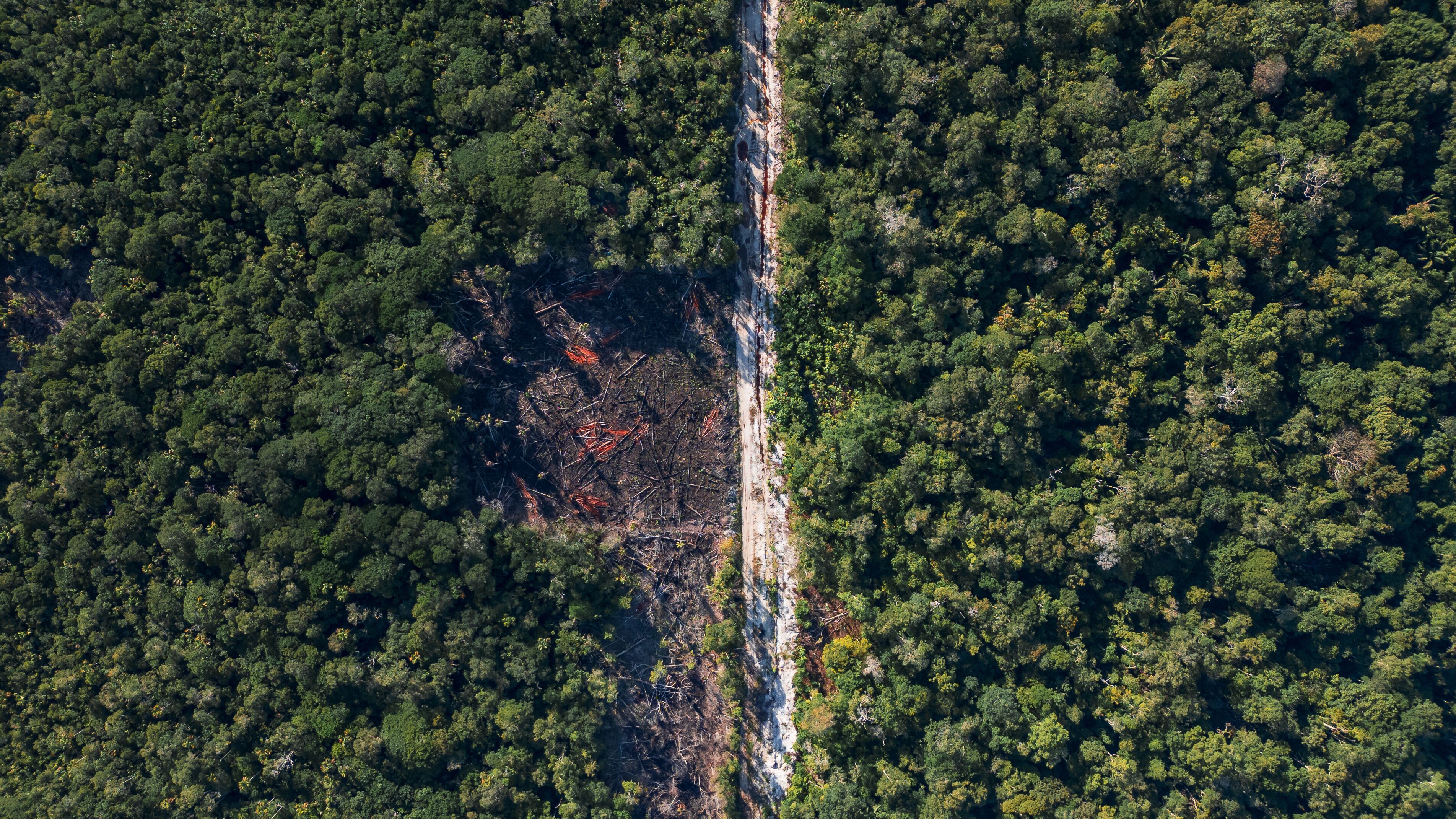 AERIAL IMAGES OF DEFORESTATION IN THE PERUVIAN AMAZON, FORESTS DEFORESTED BY AGRICULTURE AND HUMAN EXPANSION, DESERTIFICATION IN THE PERUVIAN AMAZON