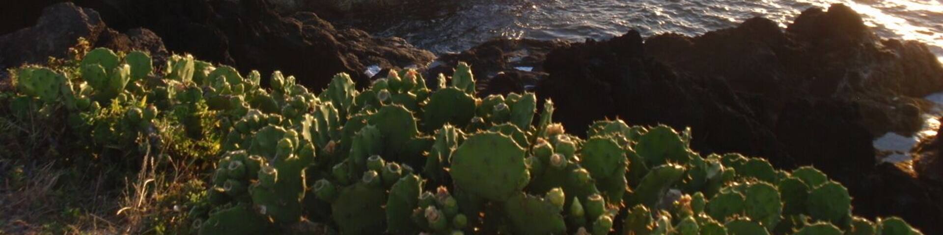 Azores island is not for beach lovers, but in Mosteiros there are natural pools in the sea to swimm. Nice!
