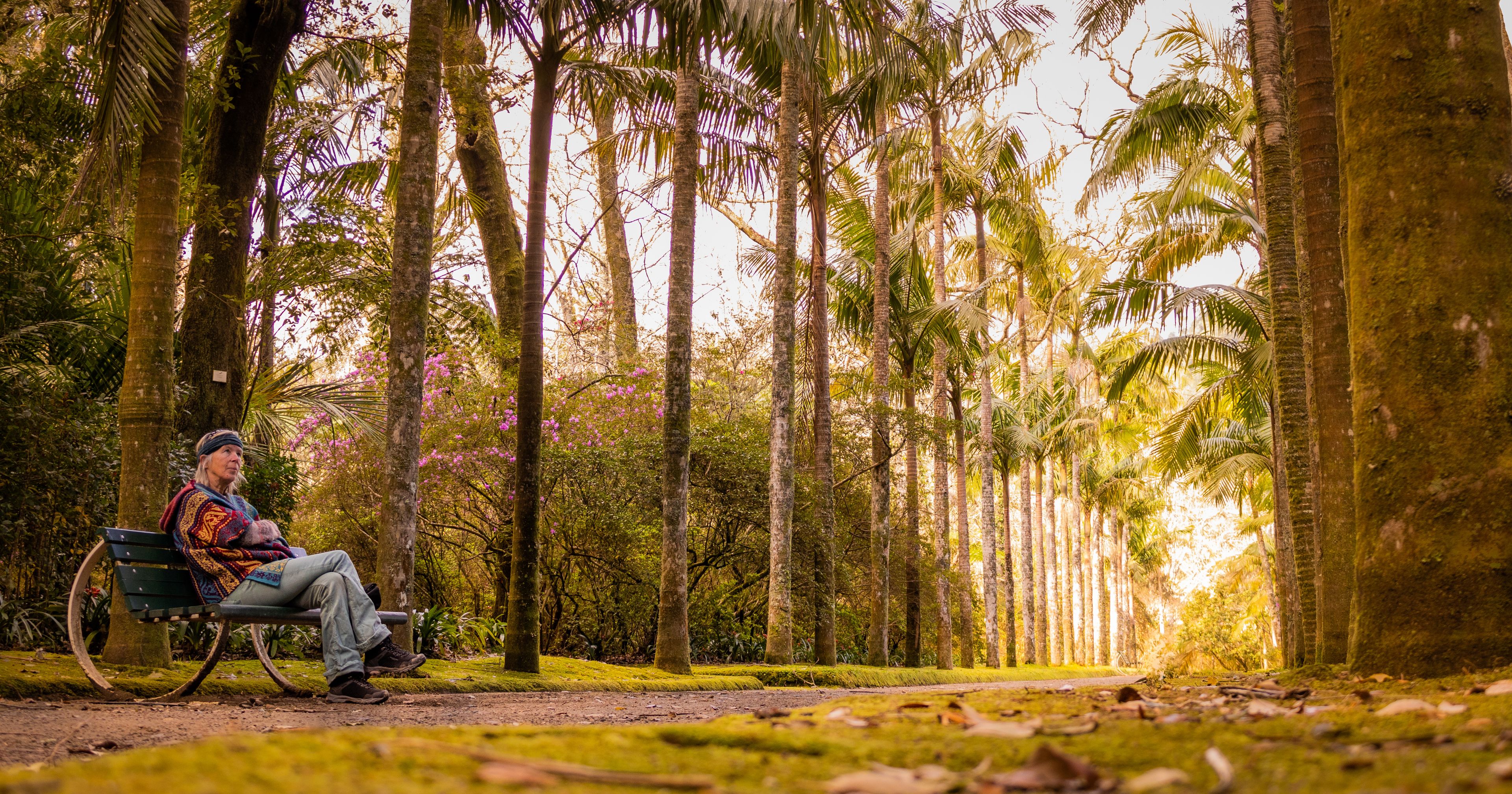 Woman in Terra Nostra botanic garden, travel destination Azores.