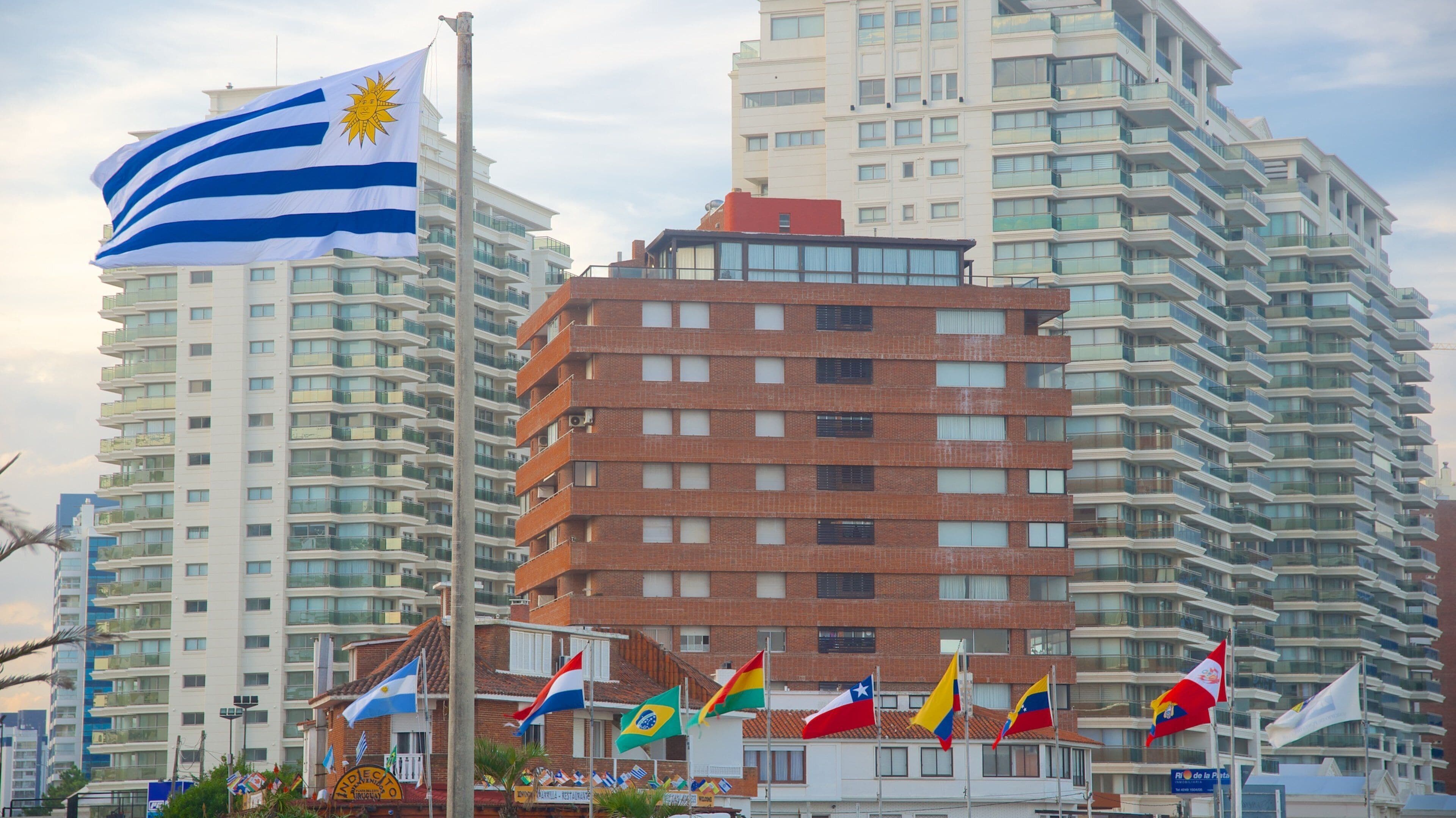 Punta del Este showing signage and a city