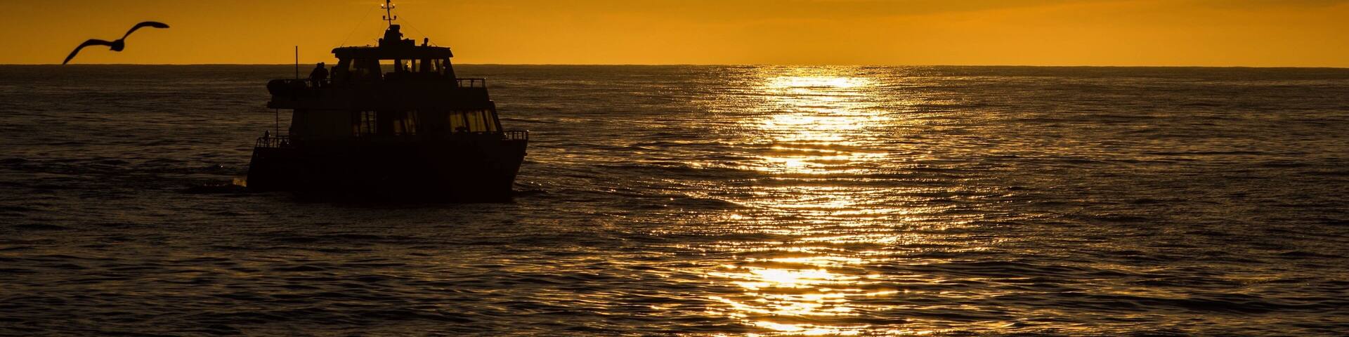 Sailing near to the port.