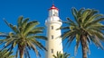 Um farol com a parte superior vermelha, rodeado por palmeiras sob um céu azul límpido.
