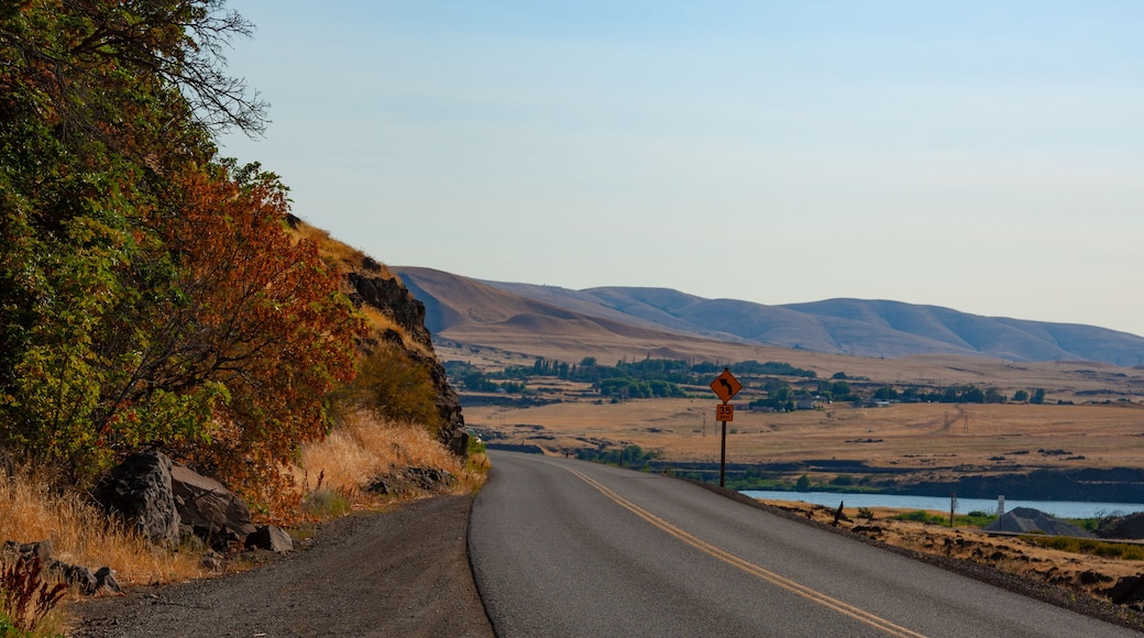 A winding road meanders through Pendleton, Oregon, tracing the contours of its rolling hills and offering stunning, scenic views of the picturesque landscape.