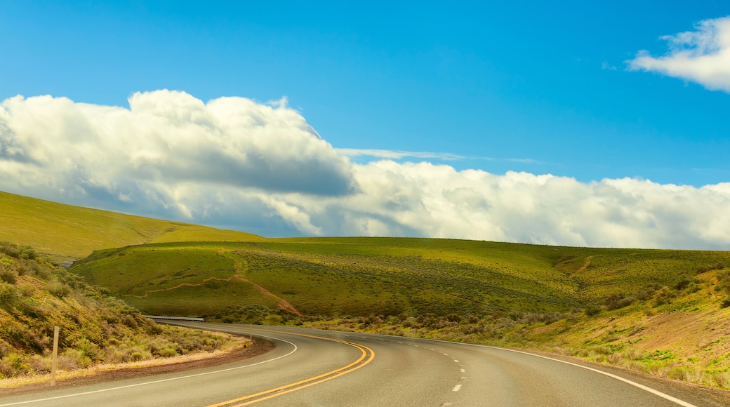 Base of Cabbage Pass near Pendleton, Oregon