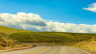 Base of Cabbage Pass near Pendleton, Oregon