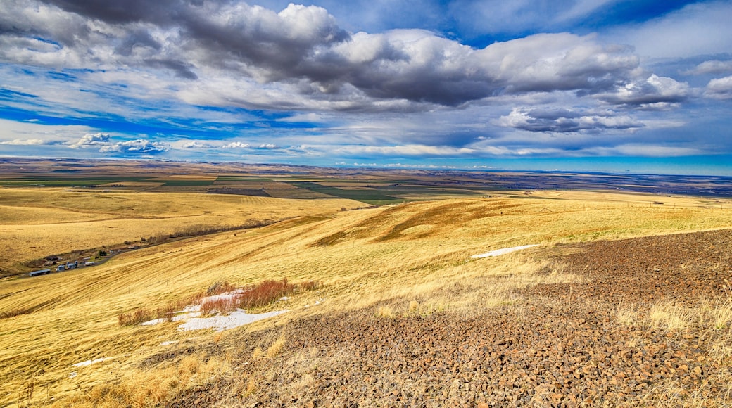 Overlook Near Pendleton, Oregon