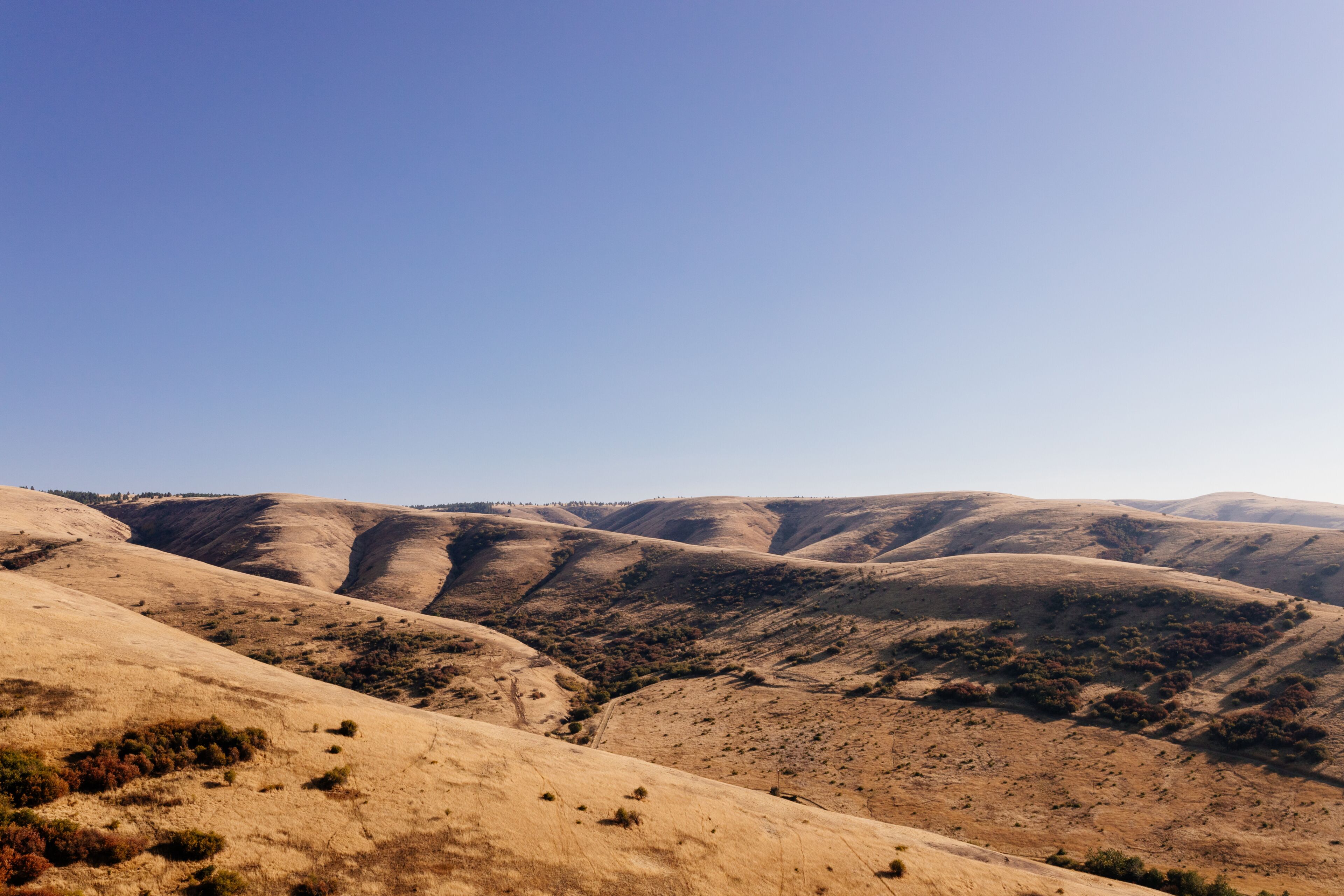 Beautiful autumn landscape with meadows and a road from a bird's eye view. Nature in Oregon in fall. Panorama. Pendleton, Oregon, USA
