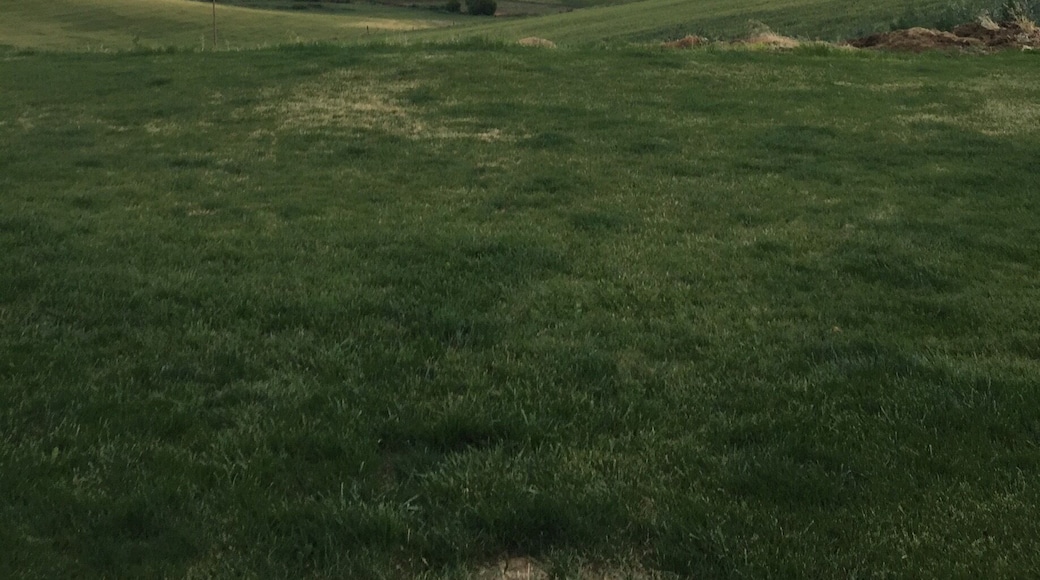 Beautiful June sunset in Eastern Oregon