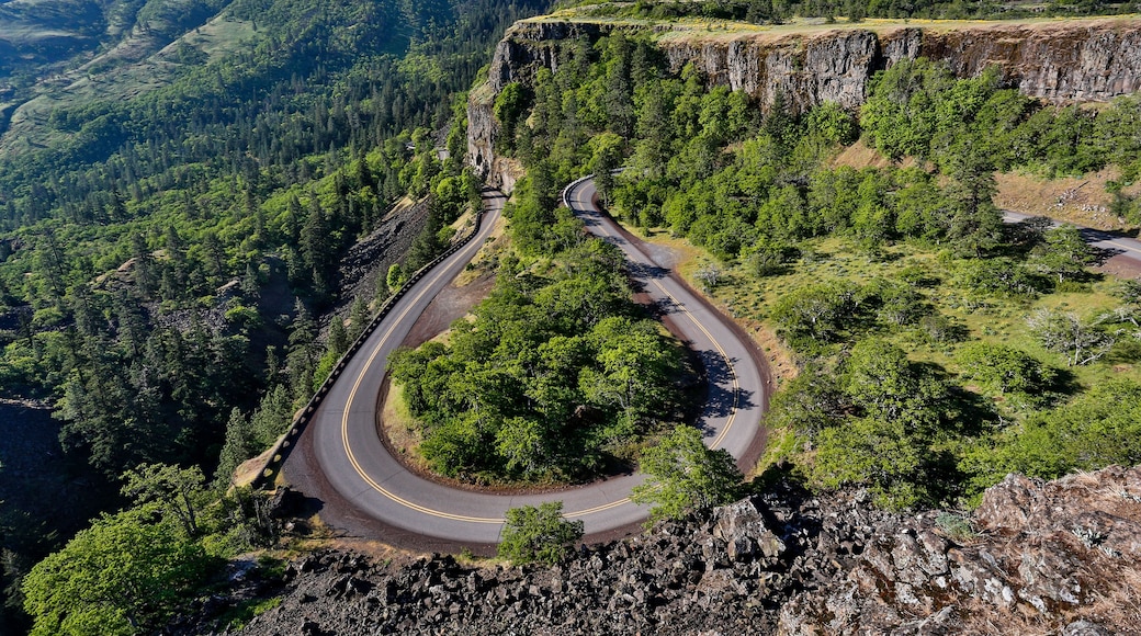 The Rowena Loops section of the old Columbia Gorge Scenic Highway, Oregon.