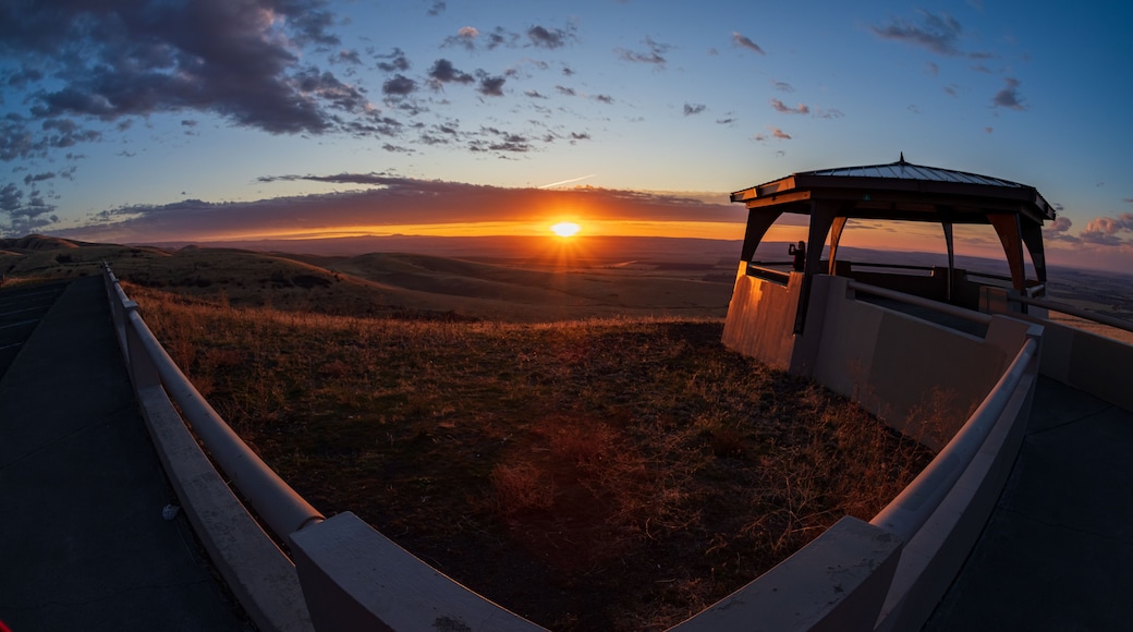 Umatilla Valley vista, Pendleton, Oregon
