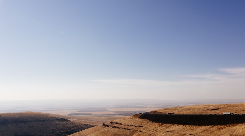Beautiful autumn landscape with meadows and a road from a bird's eye view. Nature in Oregon in fall. Panorama. Pendleton, Oregon, USA