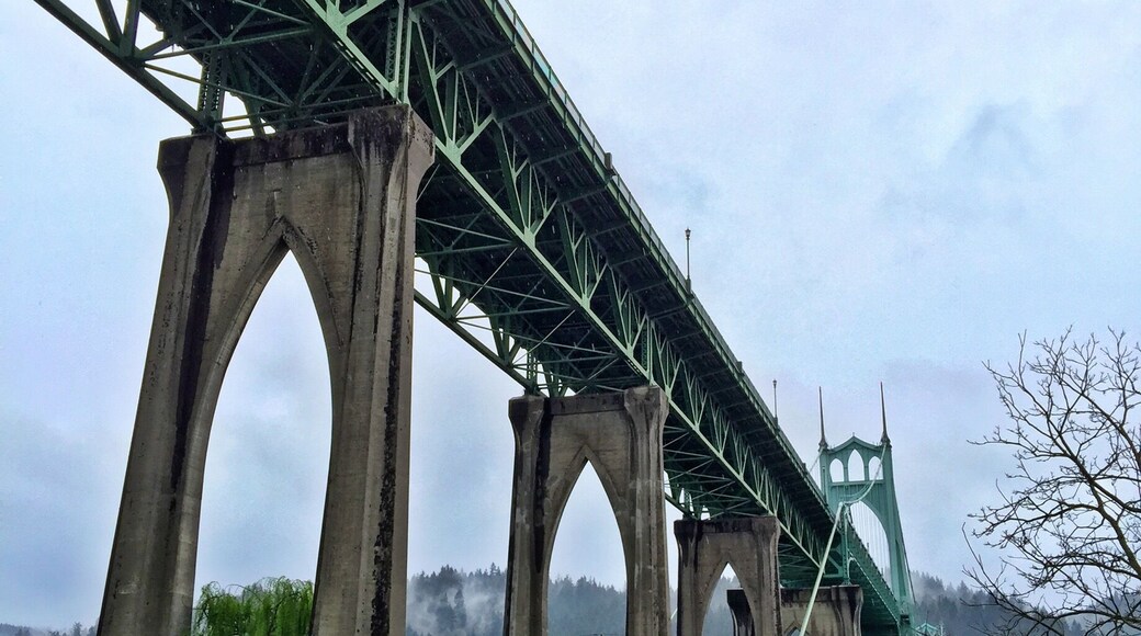 From the Cathedral Park looking up the St John's bridge.