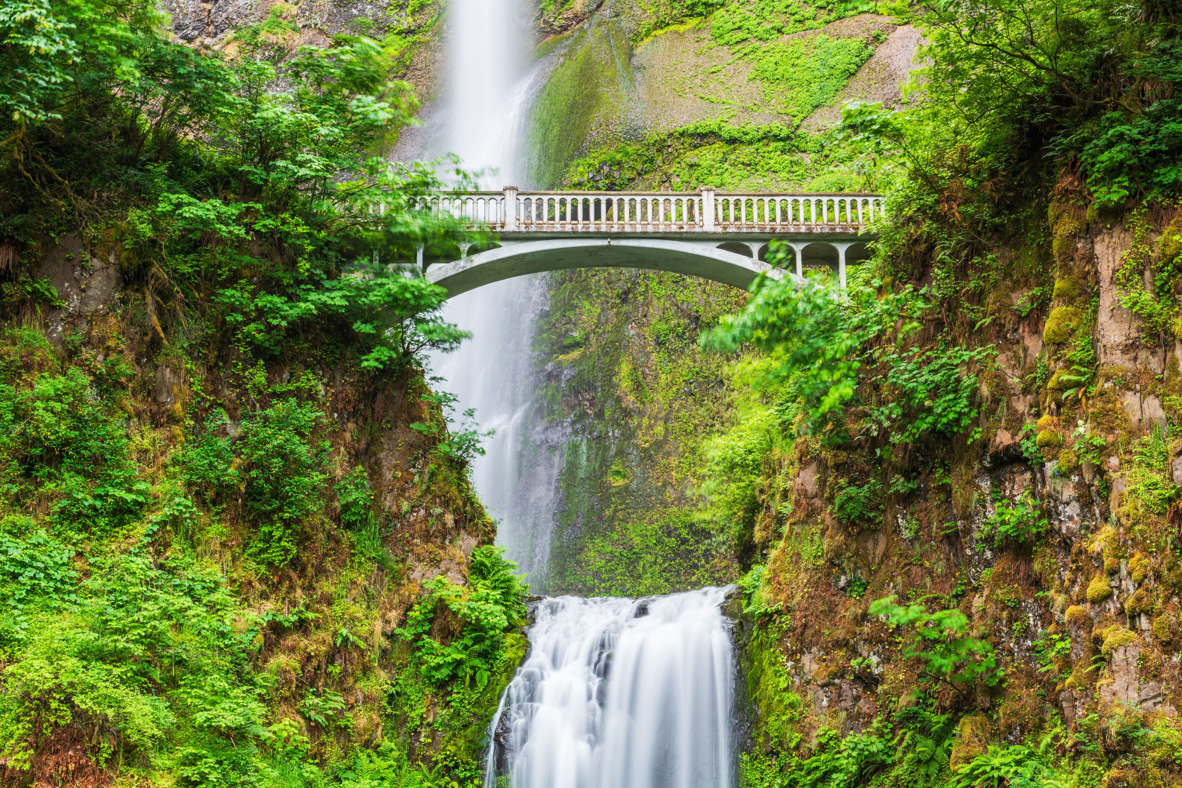 Una cascada se precipita por un acantilado, un puente lo cruza, y exuberante vegetación lo rodea.
