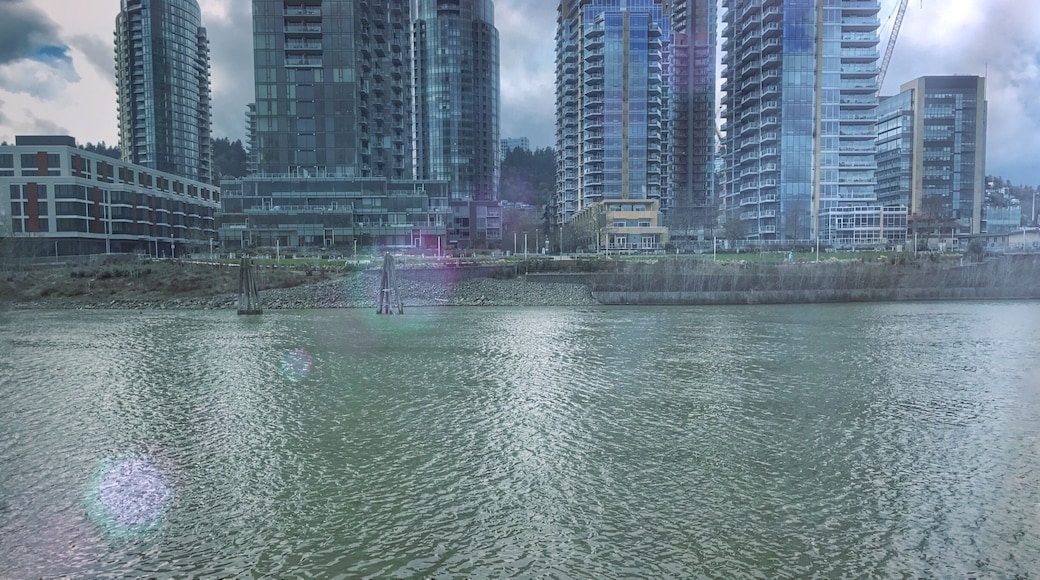 The view from our Champagne Brunch River Cruise on the Spirit of Portland. There was a break in the rain so we had a few moments to enjoy the outer deck. #portland #stunningstructures