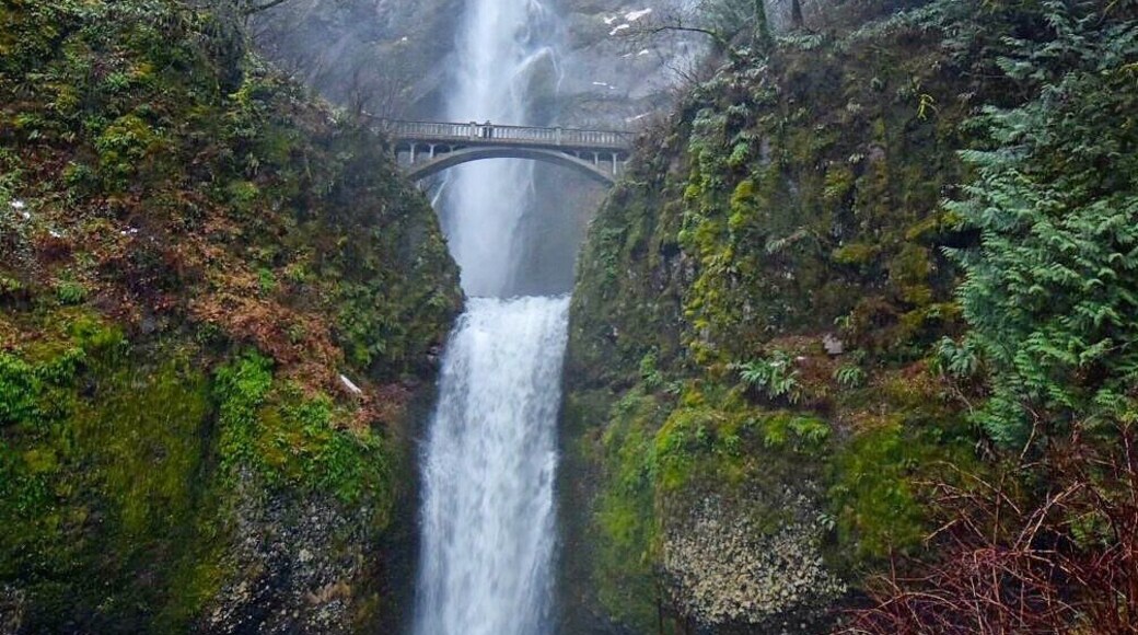 Cool spot in the Columbia River Gorge, Oregon... many short hikes around
