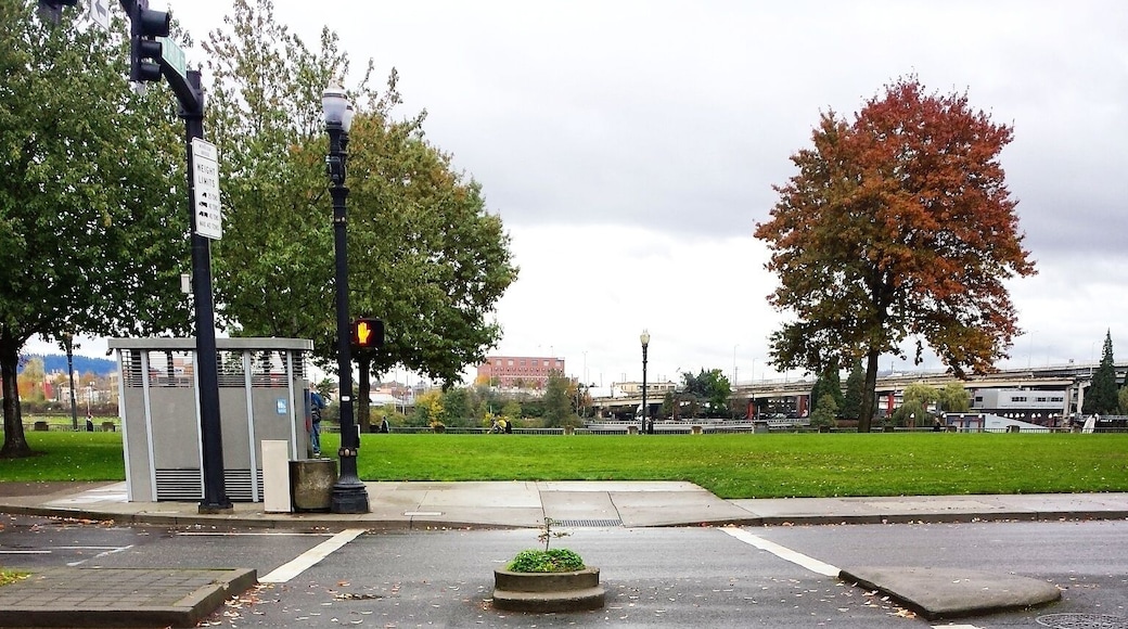 World's smallest park (in the middle of the crosswalk)
