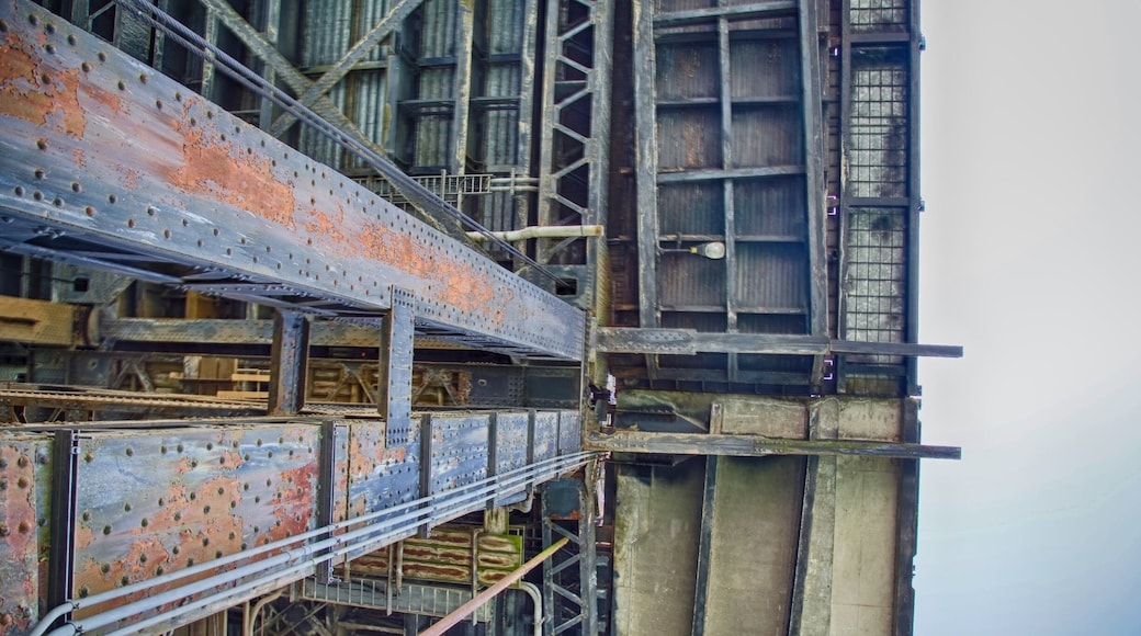 HDR photo of the underside of the Steel Bridge, over which I walk when I'm not feeling lazy.