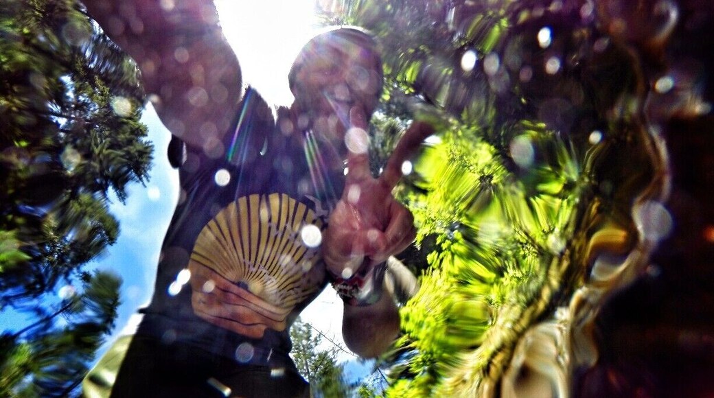 Just a few miles outside the city of Portland, Oregon you can find all kinds of great hiking trails in the Columbia River Gorge. I ventured up the Oneonta Trail in search of cool waterfalls to beat the heat. The crystal clear waters also made for some different perspective views. #hiking #waterlust #colorful