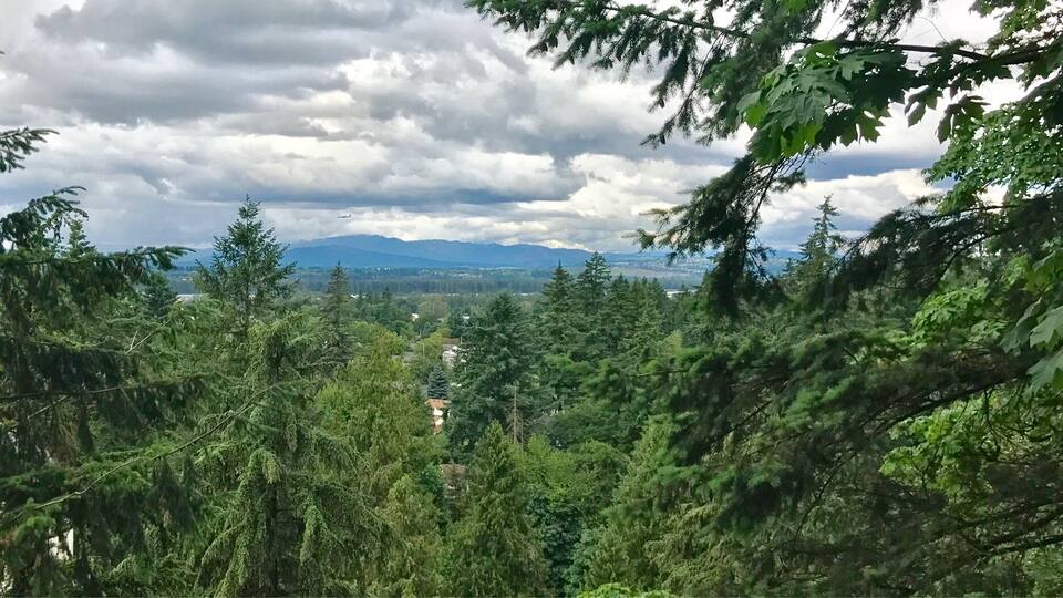 A forested mountain landscape with a view of distant houses and mountains under a cloudy sky.