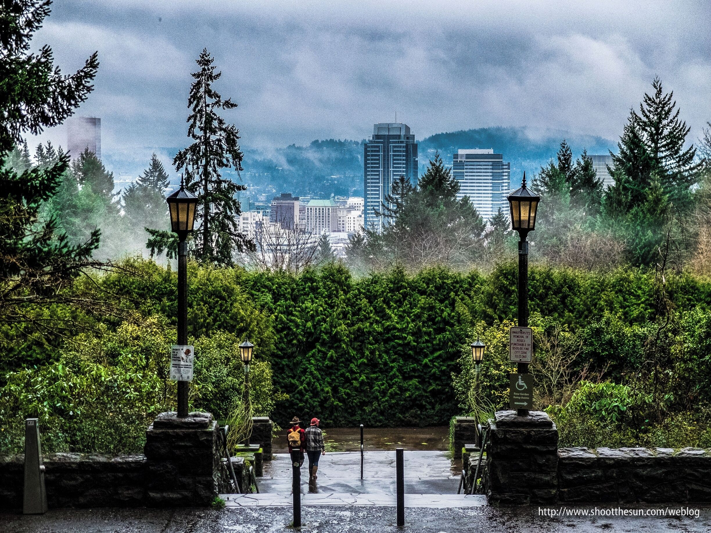 Misty view of Southwest Portland, complete with hipsters.