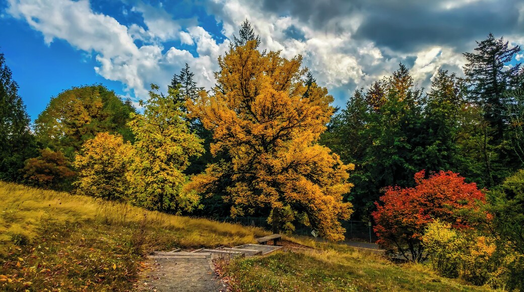 Red, orange, and #golden fall colors are in full effect in the arboretum. Minimal parking fees, cheerful volunteers, and dog-friendly trails make for a fun outing!