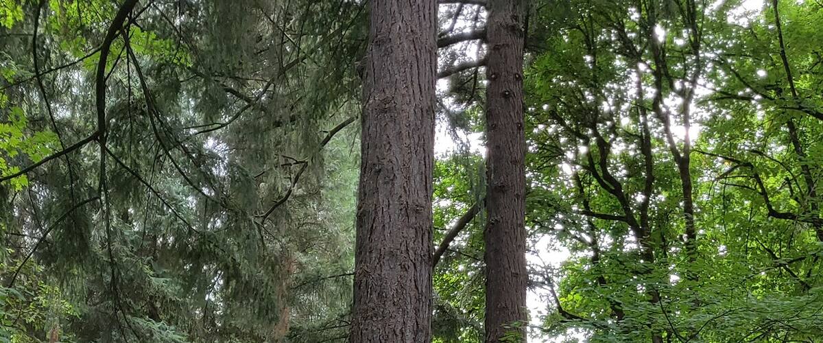 Washington Park entrance. Nice for a walk, relax or check out the rose or Japanese gardens. Highly recommend the Holocaust memorial.