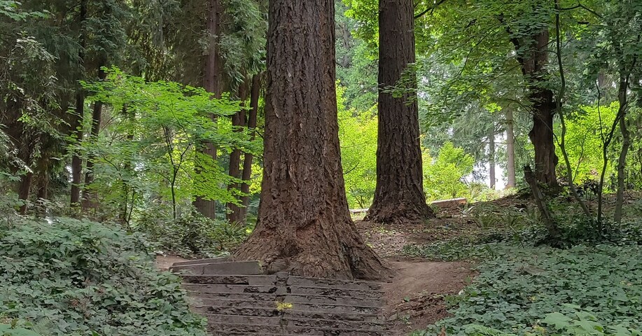 Washington Park entrance. Nice for a walk, relax or check out the rose or Japanese gardens. Highly recommend the Holocaust memorial.