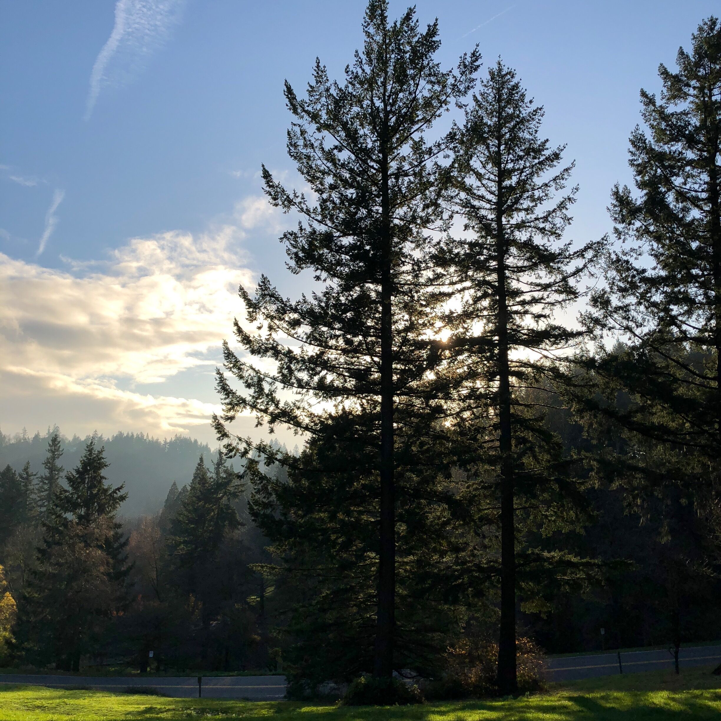 Washington Park is located west of Portland, OR where 15 minutes tram ride. The Washington Park Station’s platform is underground 700ft. and there’re connecting elevators. 