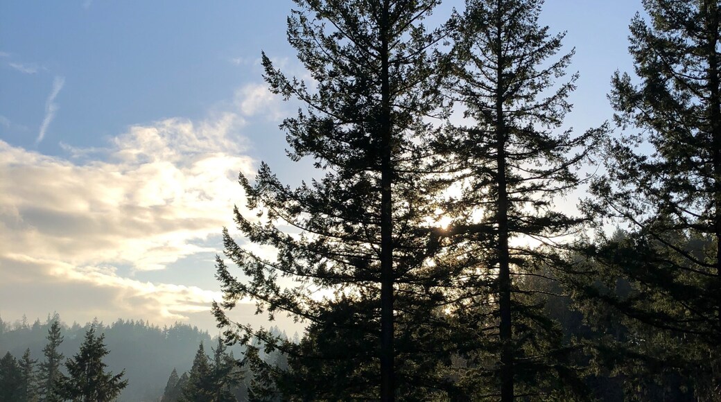 Washington Park is located west of Portland, OR where 15 minutes tram ride. The Washington Park Station’s platform is underground 700ft. and there’re connecting elevators.