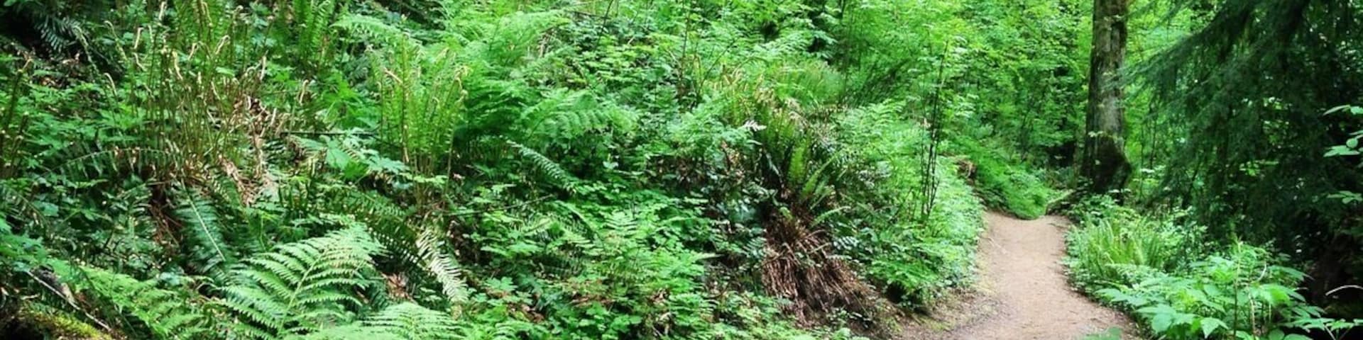 over the river and through the woods