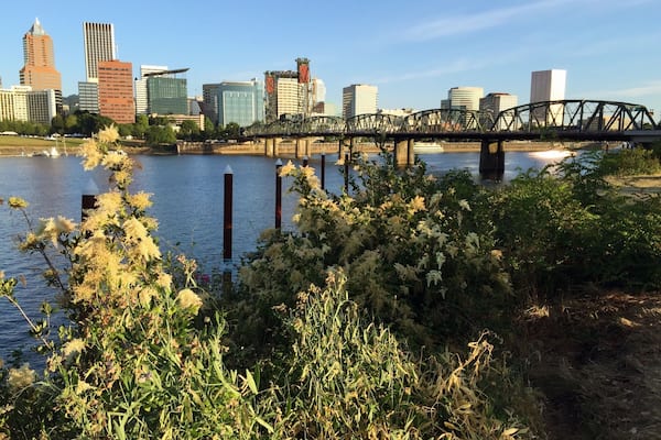 The Eastbank Esplanade is the perfect place to walk, jog, or cycle if you're visiting Portland, Oregon. Take in the impressive views of the city and the Willamette River from the numerous viewpoints. I really enjoyed reading the many signs along the way that share the history of Portland with passersby.