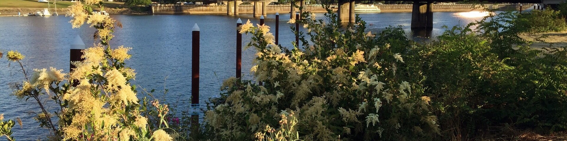 The Eastbank Esplanade is the perfect place to walk, jog, or cycle if you're visiting Portland, Oregon. Take in the impressive views of the city and the Willamette River from the numerous viewpoints. I really enjoyed reading the many signs along the way that share the history of Portland with passersby.