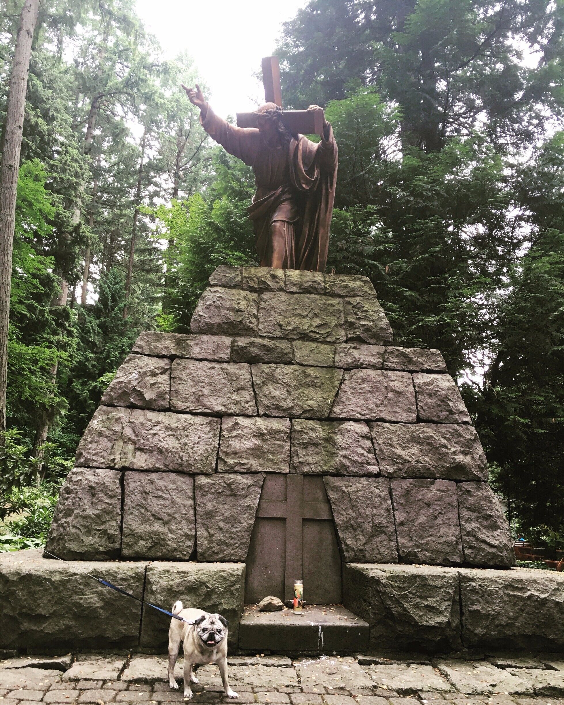 So many Jesus statues...in nature.