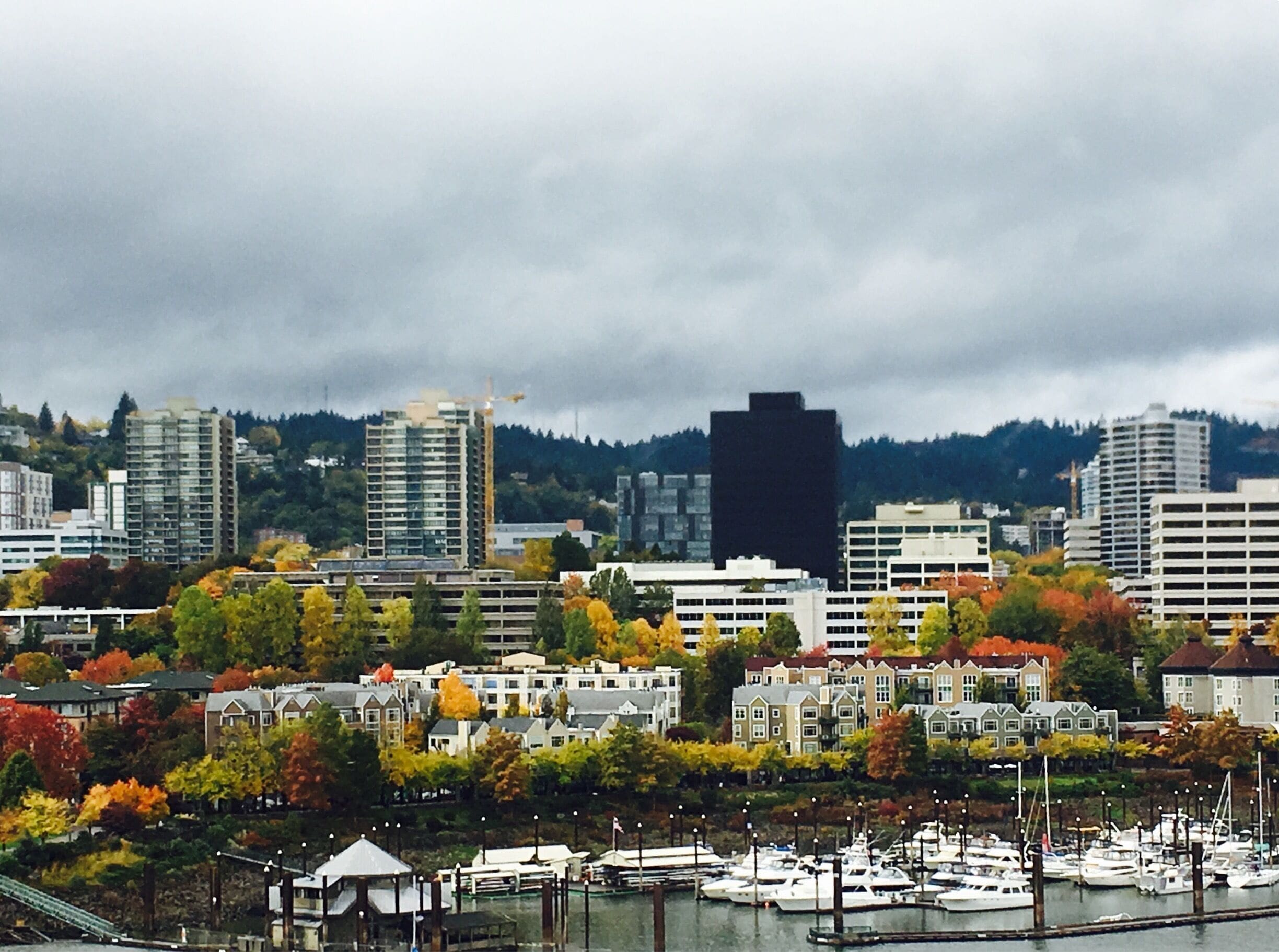 Fall in Portland, Oregon🍁🍂🍃🔜