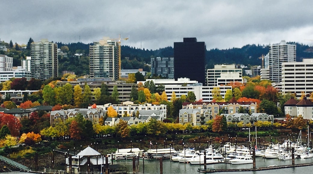 Fall in Portland, Oregon🍁🍂🍃🔜