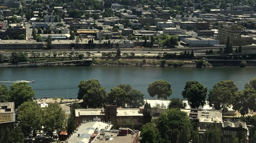At Portland City Grill overlooking the Willamette River and Mount Hood in the distance