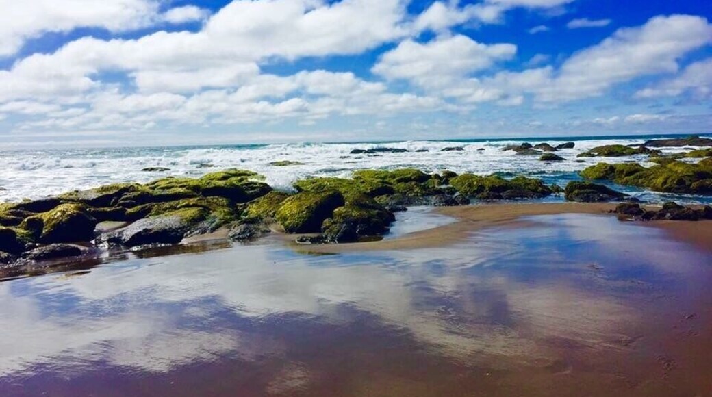 When the beautiful #blue clouds tell you that whatever is high and up there, can come
down in less than a second. Breathtakingly gorgeous!