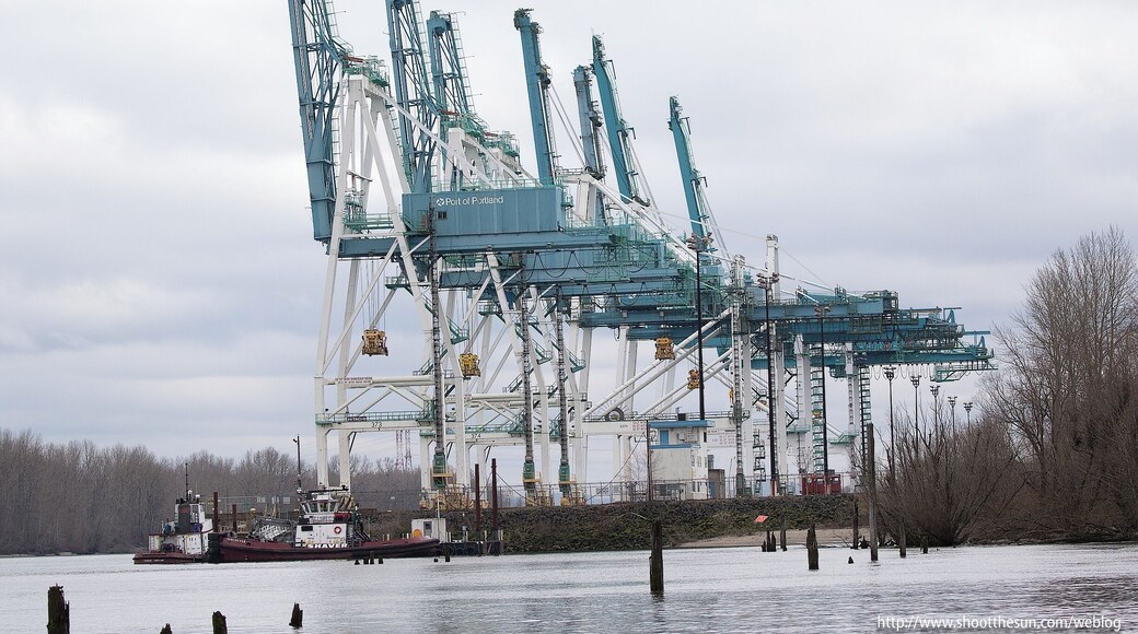 These massive cranes service the terminal area of the Port of Portland in the northern-most section of the city.
If we assume that one of those pilot boats is approximately 12 feet tall, we can calculate an approximate height for the cranes behind it -- something on the order of 120 feet.
You can see this structure at the northeastern-most portion of Kelley Point Park.