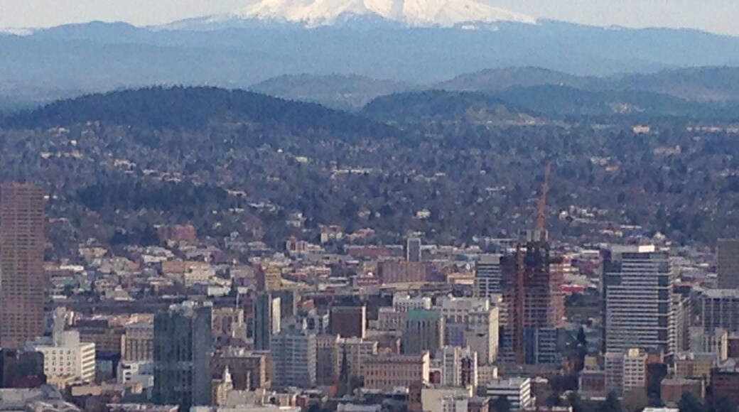 View of mount hood. #roadtrip #mountains
