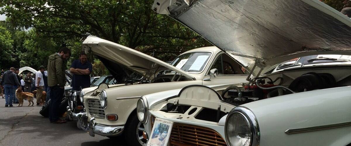 Annual car show and swap meet dedicated to Volvo automobiles at the headquarters for IPD, a company specializing in Volvo parts.  I was inspired to fix up my 1984 245 DL wagon.