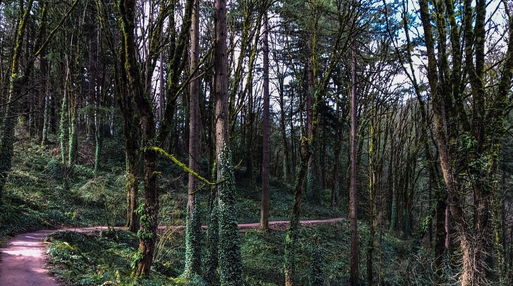 So much #Green for March. Awesome trails throughout the Hoyt Arboretum made for a fantastic day. Best city park I've ever seen.