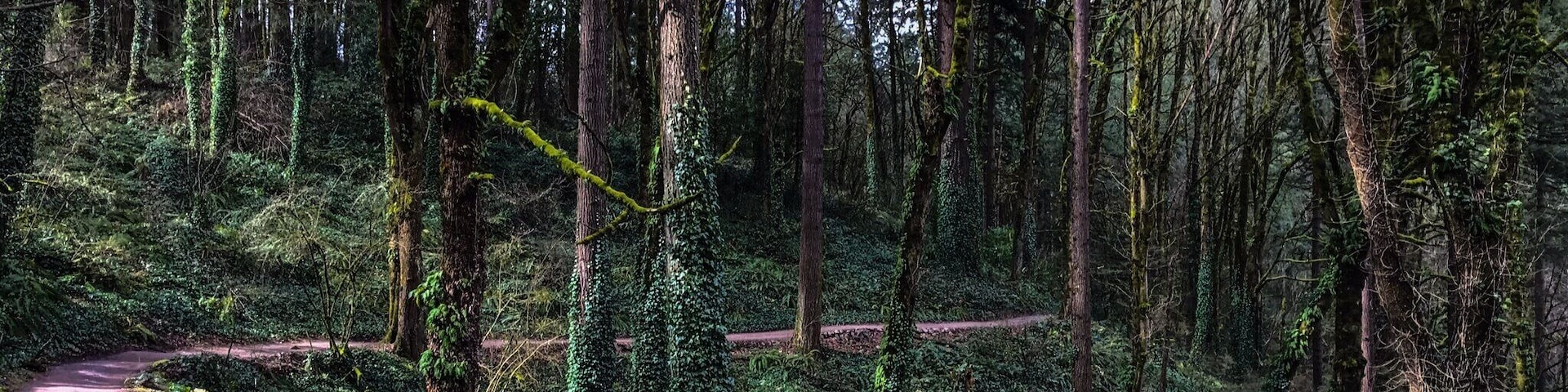 So much #Green for March. Awesome trails throughout the Hoyt Arboretum made for a fantastic day. Best city park I've ever seen.