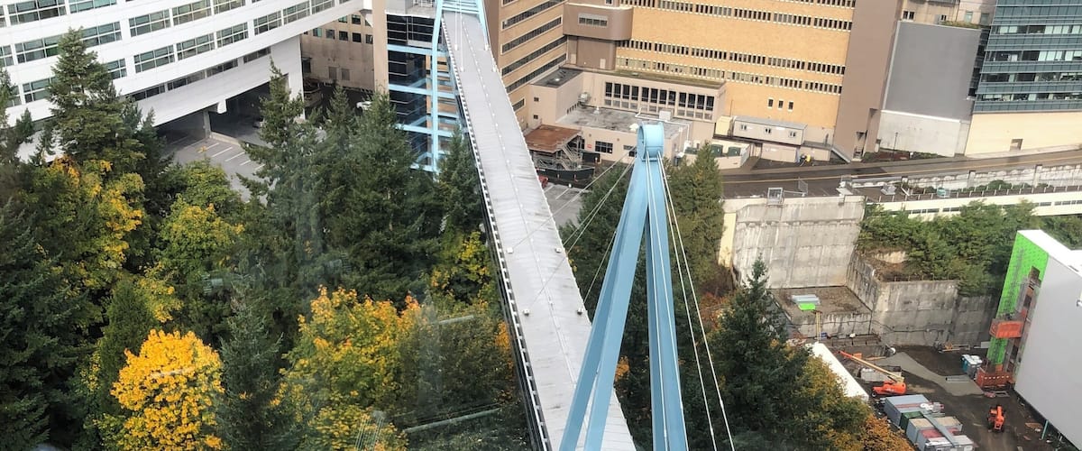 SOM. Bridge