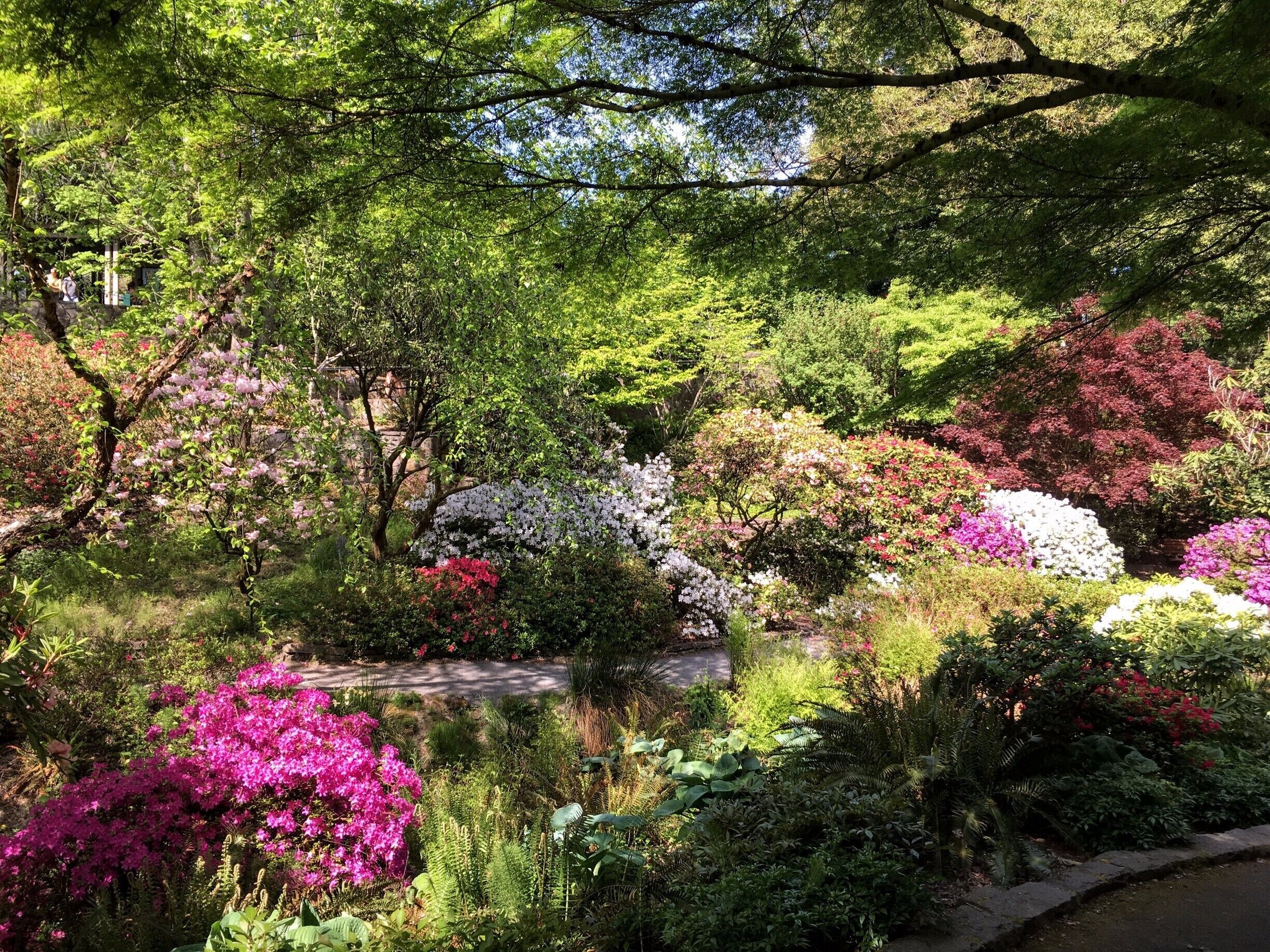 In late April, all of the flowers were in full bloom.