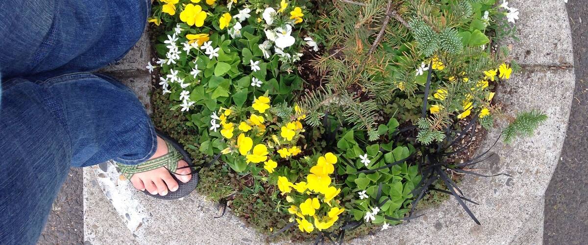 World's smallest park! Sometimes, supposedly, little farm animals and even leprechauns take up residence. It was deserted for our visit.